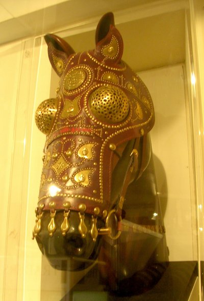 Roman Horse Head Leather and Armour protection.